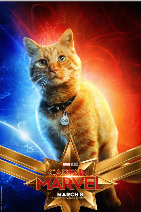 1555671291.png 1555671291.png