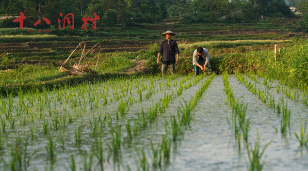 1590583074.png 1590583074.png