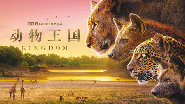 1763536537202450.png image.png